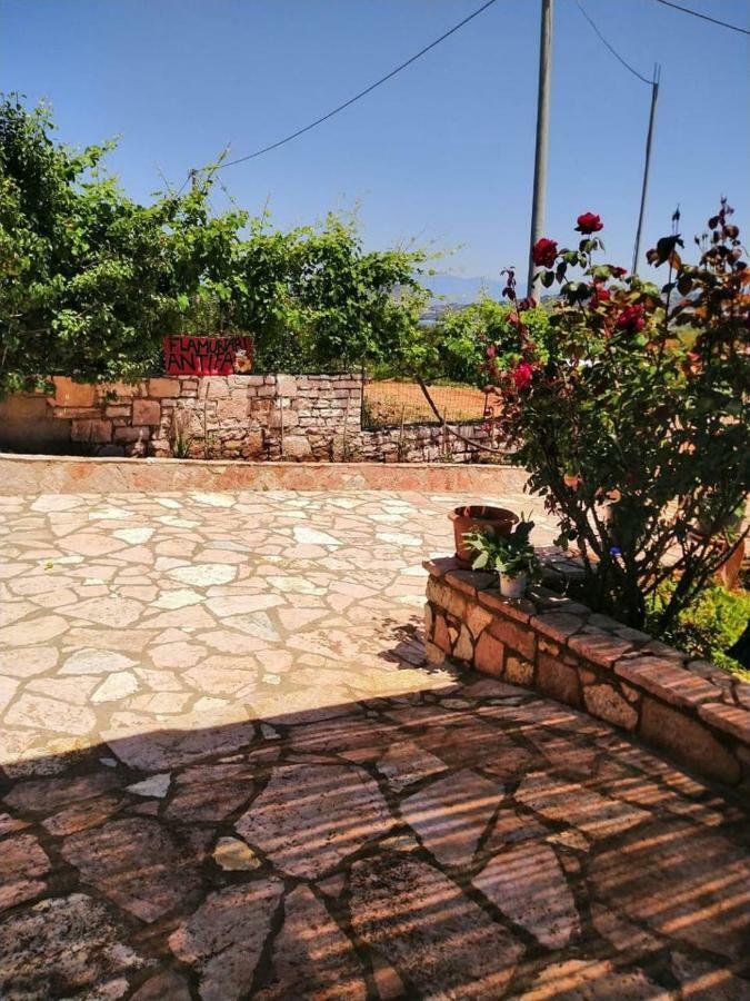 Vila Panorama كساميل المظهر الخارجي الصورة